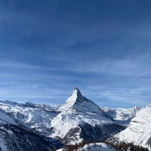 Meet your Posher, Meredith